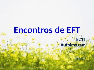 eEFT-e211 - autoimagem.pptx