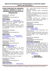 CURSO PRINCÍPIOS DE LIDERANÇA - MODULO  AMARELO - 5º AULA -  A ORGANIZAÇÃO NO PROCESSO DE APRENDIZADO.docx